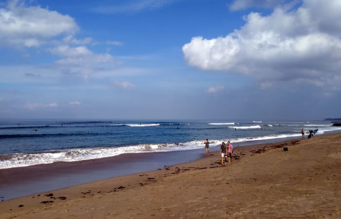 Kami menyediakan layanan penjemputan, pengantaran, transfer yang handal dari Bandara Internasional Ngurah Rai Denpasar ke Canggu, semua tujuan di Bali dan kota-kota tertentu di Jawa, antar-jemput hotel, penyewaan mobil atau minibus dengan pengemudi profesional, menawarkan berbagai kendaraan ber-AC yang nyaman untuk memenuhi kebutuhan Anda seperti mobil Toyota Avanza 5-seater, mobil Toyota Innova 6-seater, minibus Toyota Hiace 14-seater